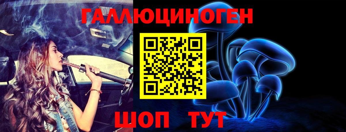 Алейск  Галлюциногенные грибы прущие грибы  Вход с VPN 